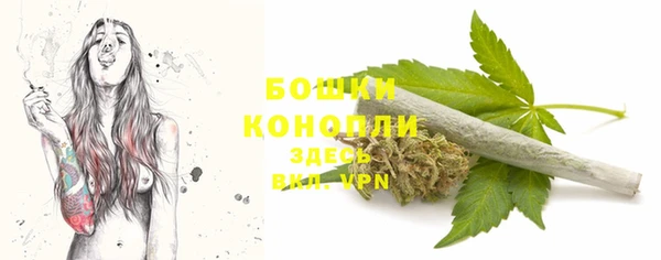 PSILOCYBIN Лабытнанги